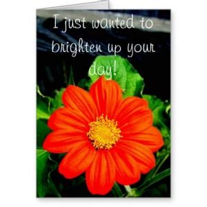 Quotes On Flowers To Brighten Day QuotesGram