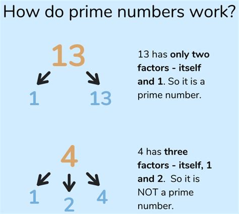 What Is A Prime Number Explained For Parents Teachers And Children