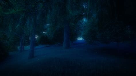 View 12 Download Background Anime Night Forest Pictures Png