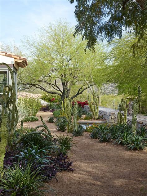 House Of Desert Gardens Colwell Shelor Landscape Architecture Desert