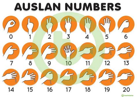 Auslan 0 20 Number Poster Northern Dialect Teaching Resource Sign