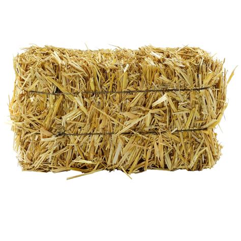 Find The 12 Straw Bale By Ashland At Michaels