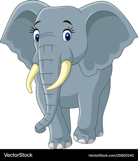 Cartoon Funny Elephant On White Background Vector Image