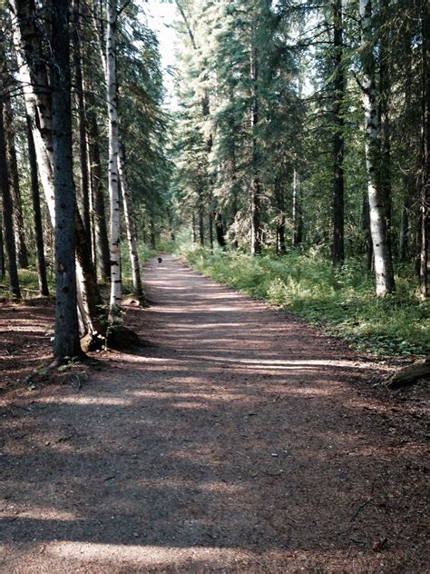 Things to do near the fairbanks alaska public lands information center. Angel Rocks Trail near Fairbanks, Alaska - Brian's hikes