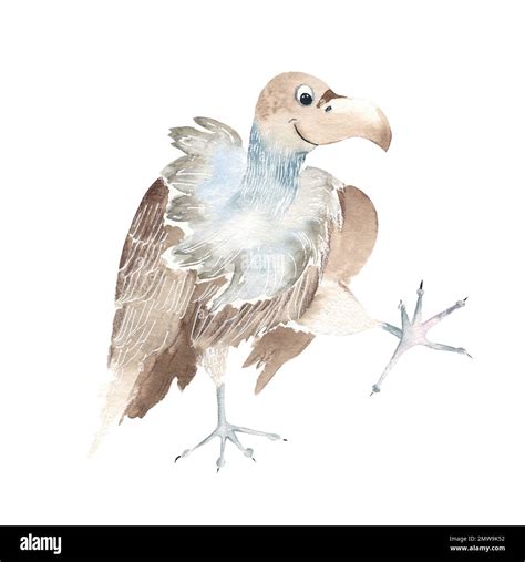 Cute Vulture Isolated On White Background Watercolor Hand Drawn