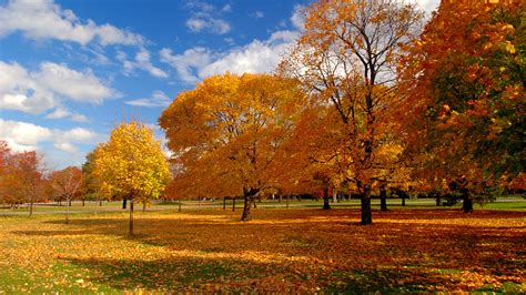 1920x1080 Nature Asphalt Foliage Park Trees Autumn