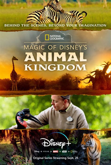 Disney To Release National Geographic Docu Series Magic Of Disneys
