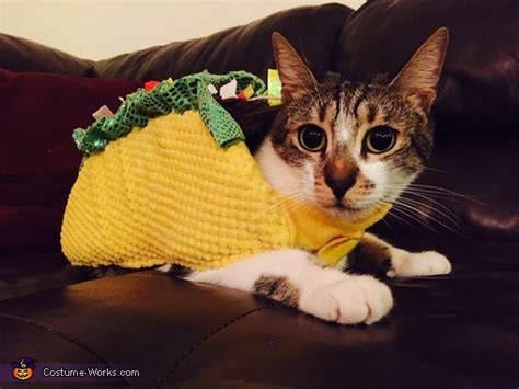 Taco Cat Costume