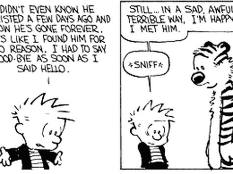Top 187 Calvin And Hobbes Cartoon Strip