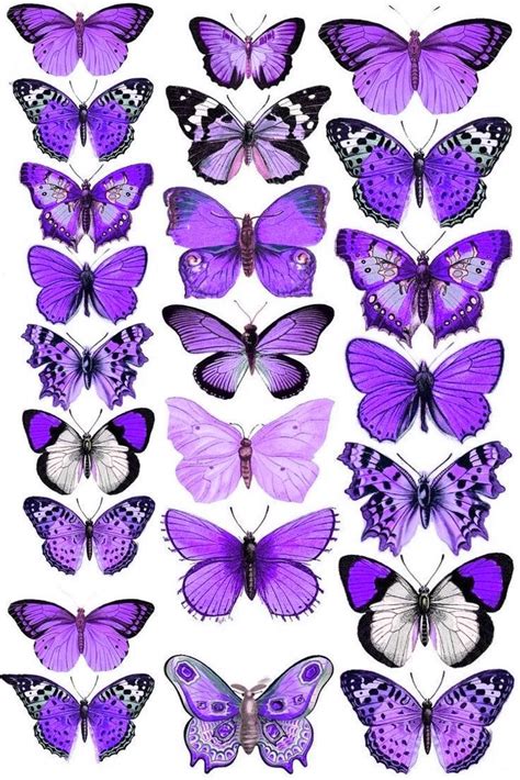 32 Mixed Stunning Purple Butterflies Various Designs Бумажные бабочки