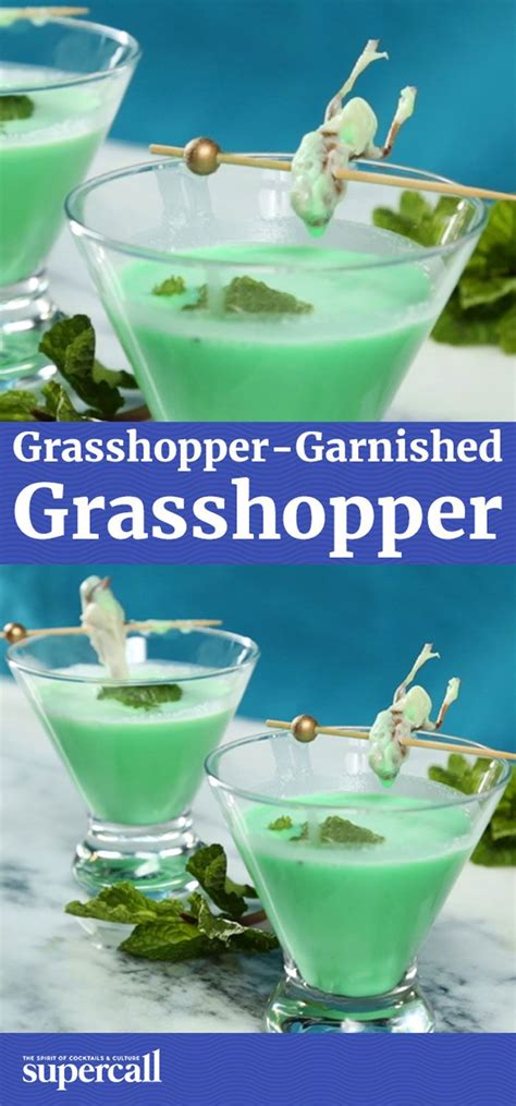 Grasshopper Garnished Grasshopper Recipe Easy Drink Recipes Grasshopper Cocktails Cocktail