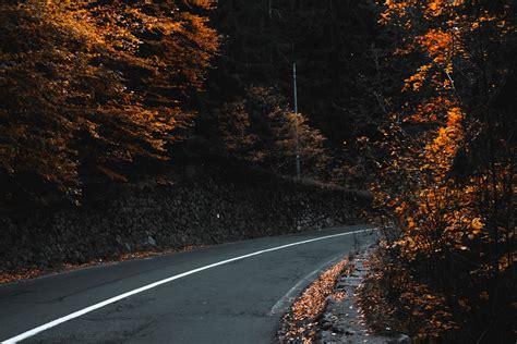 Autumn Road Pictures Download Free Images On Unsplash