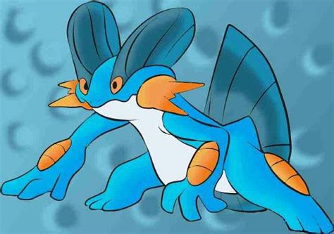 Swampert Wiki Pokémon Amino