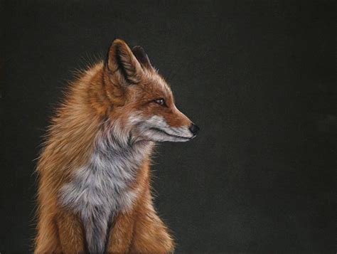 Fox Portrait Pastel Drawing By Tatjana Bril Artfinder