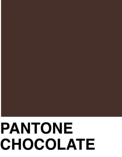 The Pantone Chocolate Color Is Shown In Black And White As Well As An