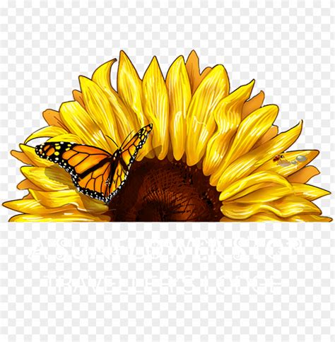 7216+ Free Sunflower Svg Images Easy to Edit