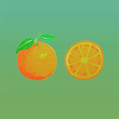 Orange Fruit Illustration Summer Fruit Orange Orange Blog Fun