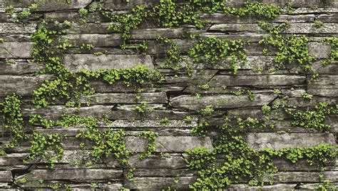 Find & download the most popular stone wallpaper photos on freepik free for commercial use high quality images over 9 million stock photos. 3D Slate Stone with Greenery Leaves Wallpaper Brokers ...