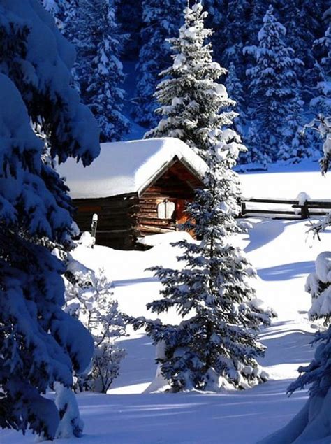 Snow Covered Cabin Winter Wonderment Pinterest