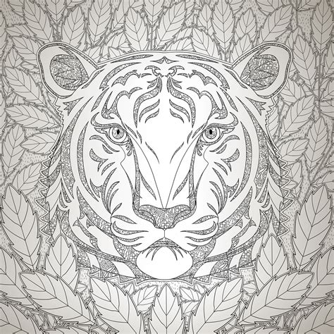 Nat Geo Magnificent Animals Colouring Book On Behance