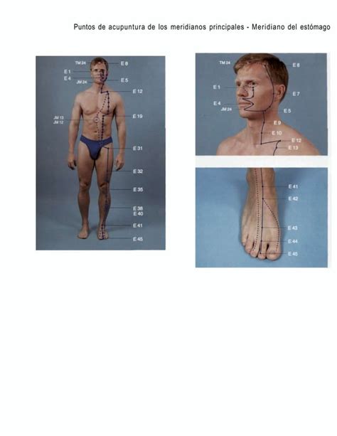 Atlas Grafico De Acupuntura PDF Descarga Gratuita