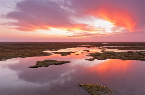 Unser ziel ist es, verständnis und faszination für das wattenmeer zu wecken. Salzwiesen Wattenmeer Foto & Bild | landschaft, meer ...