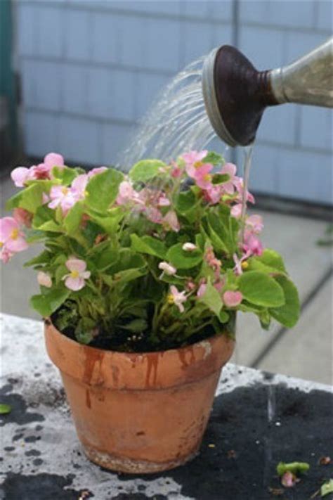 Now for example, if your soil test result recommends a nutrients (npk) ratio of. Homemade Liquid Fertilizer Recipes | ThriftyFun