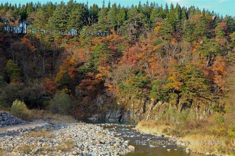The Ambitious Day Trip To Shirakawago And Gokayama The Chronicles Of Mariane