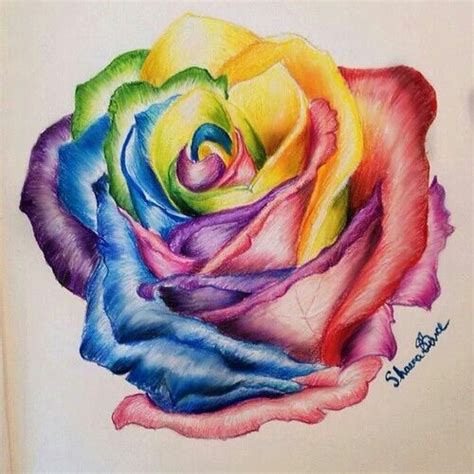 Flowers drawing tumblr buscar con google tatuajes de la flor de jazmin bocetos de flores dibujos de. ɑʜʀɪ | via Tumblr | Disegno fiori, Disegni a matita, Disegni