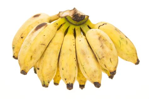 Bundle Of Banana Stock Image Image Of Meal Fruit Growth 68878755