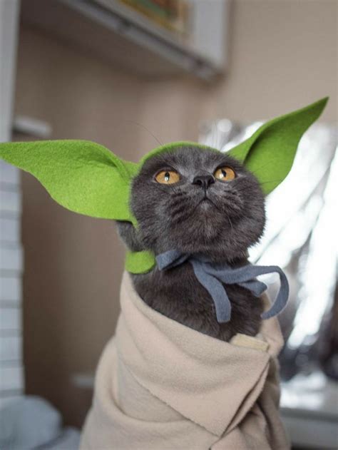 Diy Yoda Baby Costume Yoda Bonnet And Robe Artofit