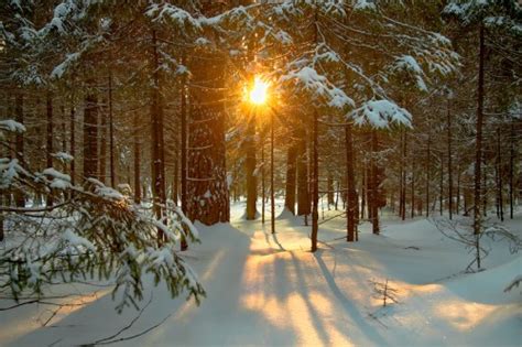 7 Ways To Celebrate The Winter Solstice