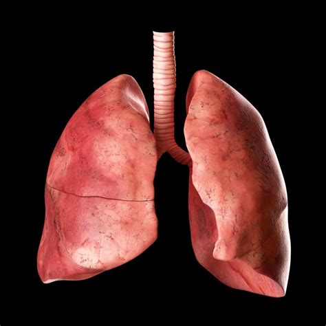 Mucus Filling Up Lungs