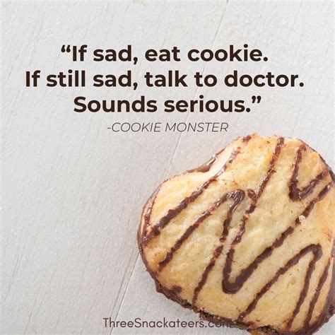 75 Cookie Monster Quotes And Captions The Three Snackateers