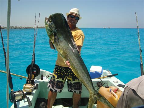 El Dorado , Mahi Mahi , Big Fish | Horacio Lyon | Flickr