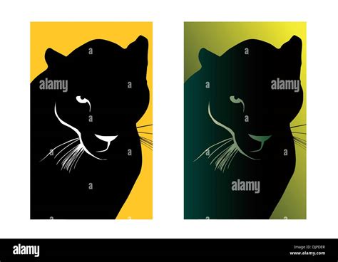 caged cougar stock vector images alamy