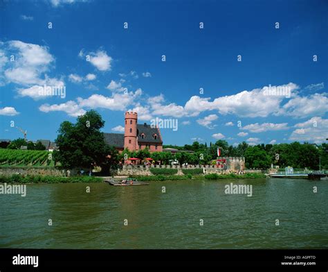 Germany Rheingau Eltville River Rhine Hi Res Stock Photography And