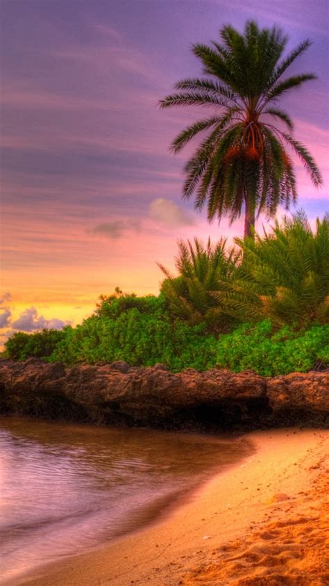 61 Tropical Island Sunset Wallpaper On Wallpapersafari