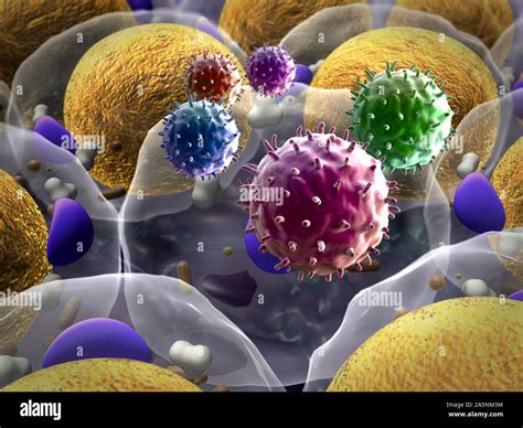 High Quality 3d Render Of Fat Cells Cholesterol In A Cells Field Of