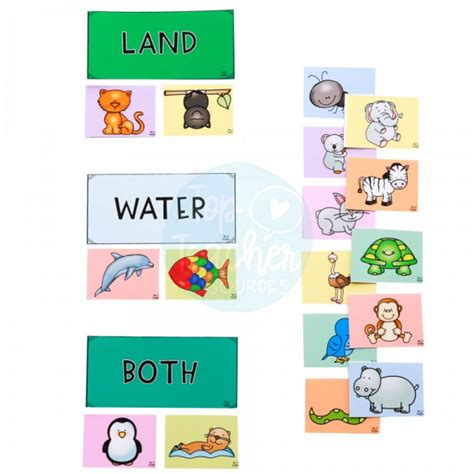 Land And Water Animal Sort Top Teacher Students Will Sort 32