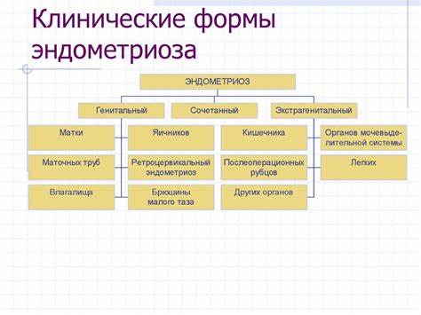 Эндометриоза и диета Эндометриоз. Определение и классификация - online presentation Эндометриоз. Определение и классификация - online presentation Эндометриоза и диета