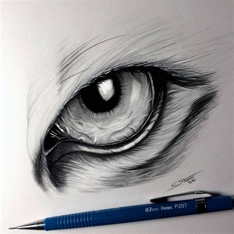 Tiger Eye Drawing By Lethalchris On Deviantart Eye Drawing Tiger