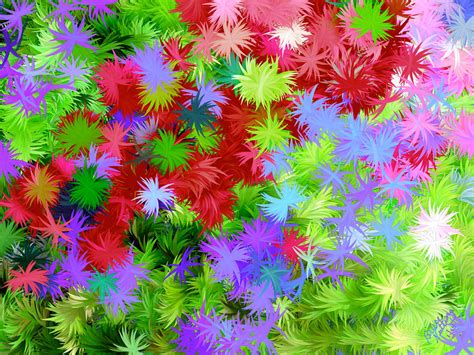 Abstract Colorful Wild Flowers Painting By Bruce Nutting