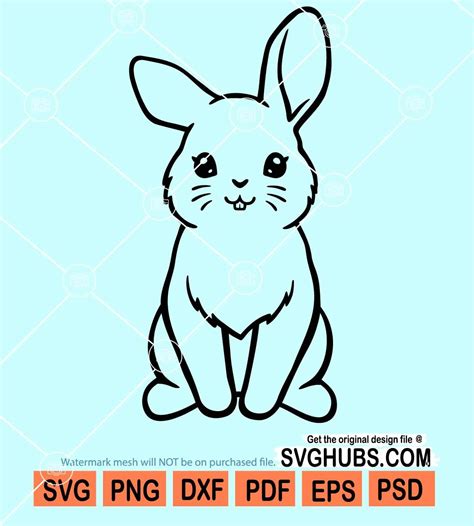 Bunny svg, rabbit svg, cute bunny svg, easter bunny svg, bunny clipart