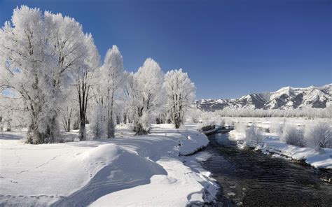 Winter Landscape Wallpapers And Images Wallpapers
