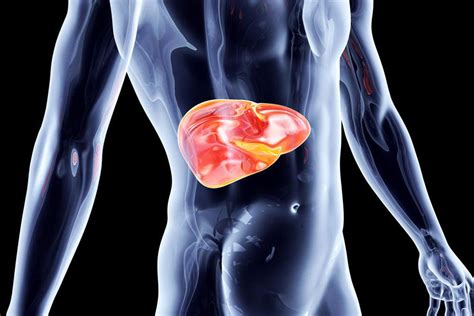 Do You Need A Liver Detox 6 Signs Your Liver Needs Help