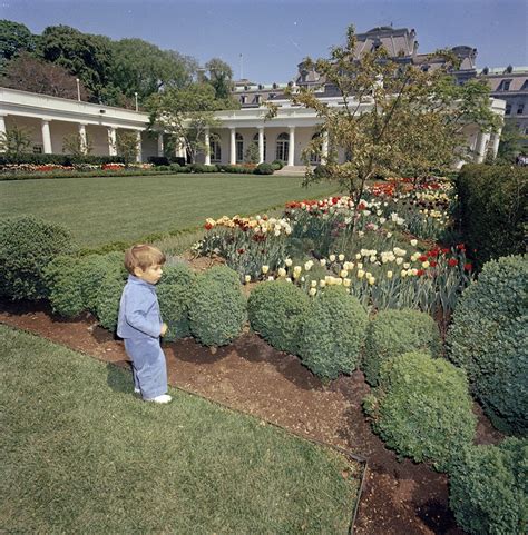 Bunny Mellon Libros Jardines La Casa Blanca Y Trampantojos