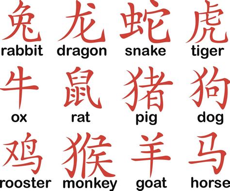 Año Chino Y Sus 12 Animales Chinese Zodiac Signs Chinese Zodiac New