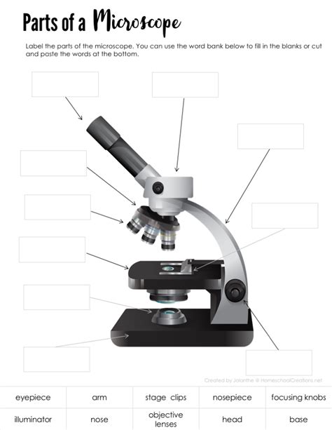 More images for picture of microscope with label » parts of a microscope worksheet - homeschoolcreations.net