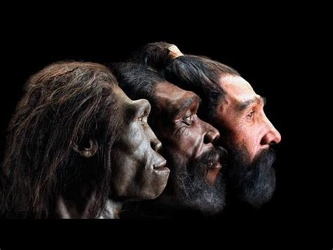 Genetic analysis uncovers a direct descendant of two different groups of early humans. On Beyond: Superconductivity, Neanderthal Genetics, the ...